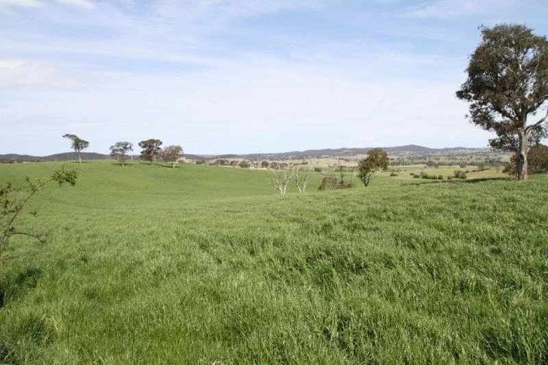 Additional image 3 of 3/83 Yass Valley Way, Manton NSW 2582