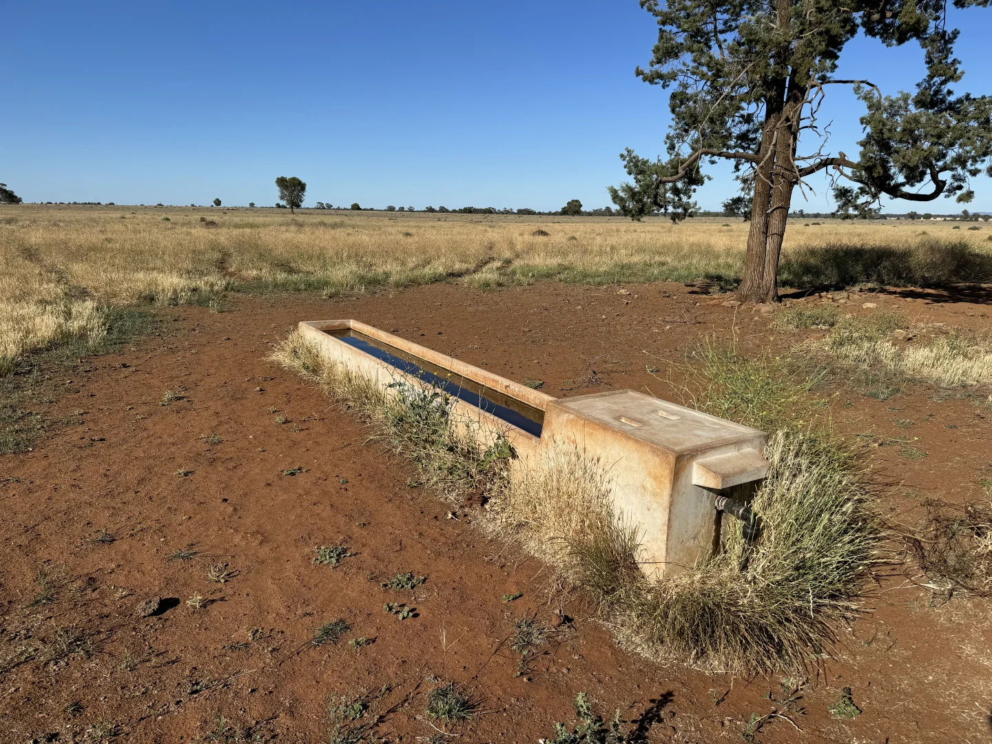 Additional image 20 of 'Boree Glen' 456 Whymarks Lane, Tullibigeal NSW 2669