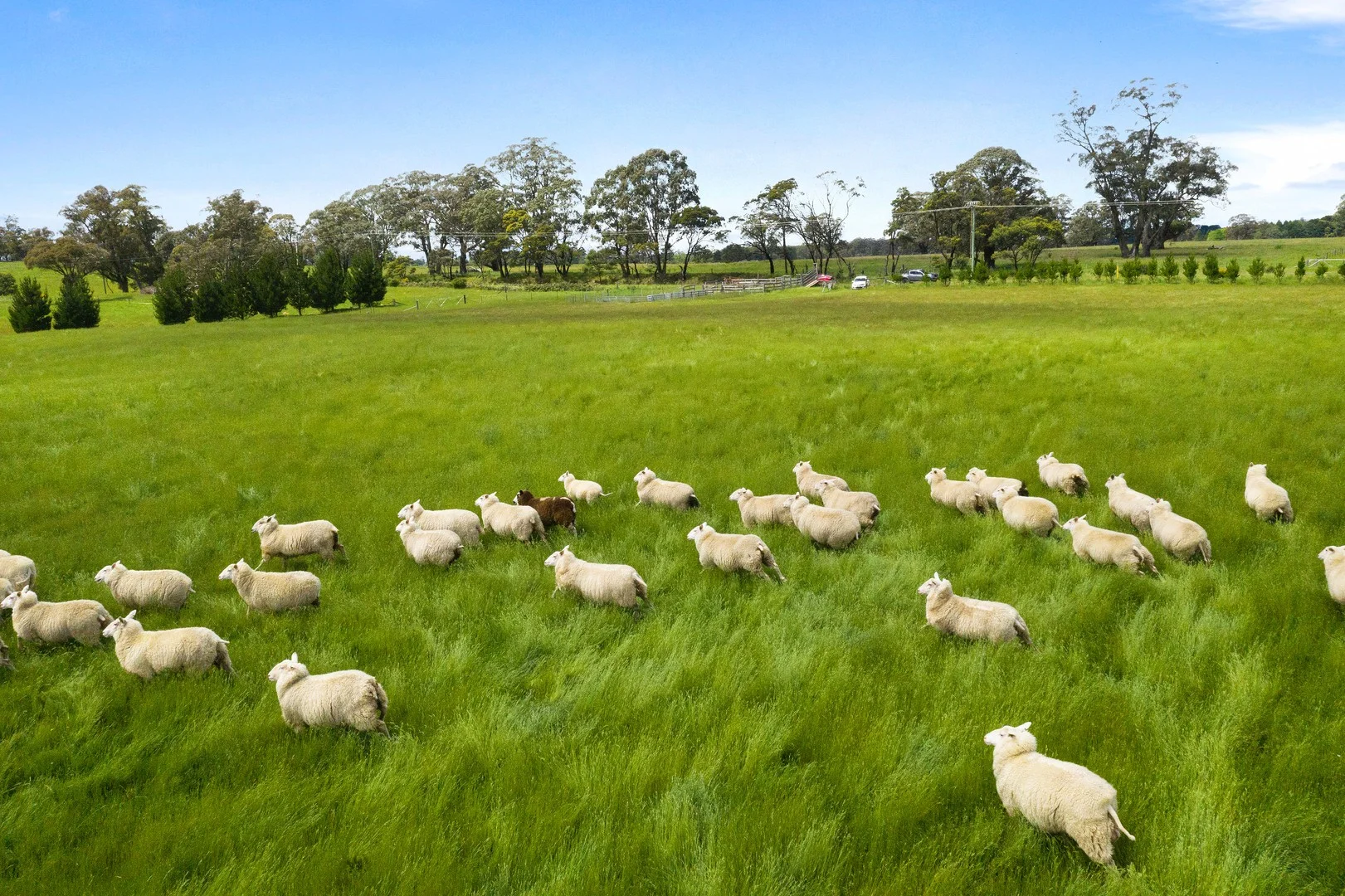 Additional image 2 of 373 Sallys Corner Road, Exeter NSW 2579