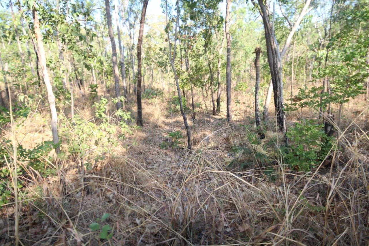 Additional image 15 of Acacia Hills NT 0822
