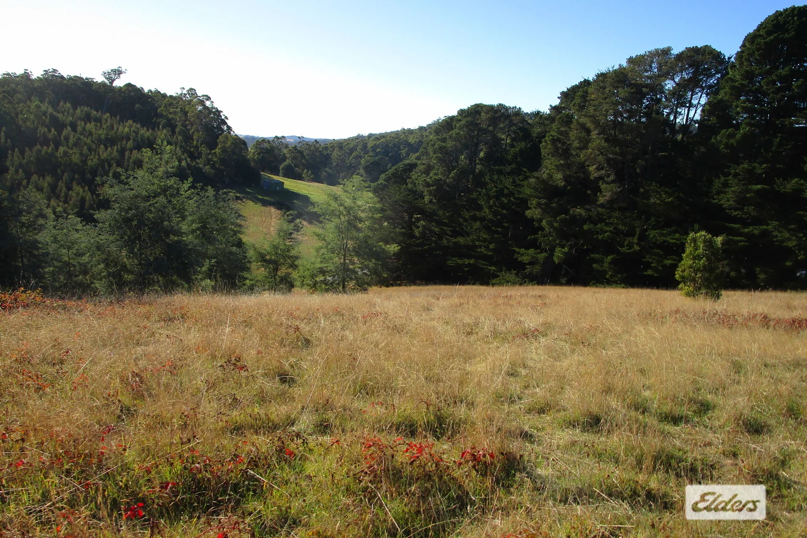 Additional image 6 of 1951 Wilmot Road, Lower Wilmot TAS 7310