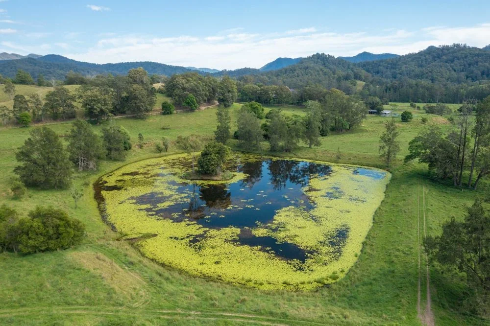 Additional image 22 of 1562-1620 NORTH ARM ROAD, Argents Hill NSW 2449