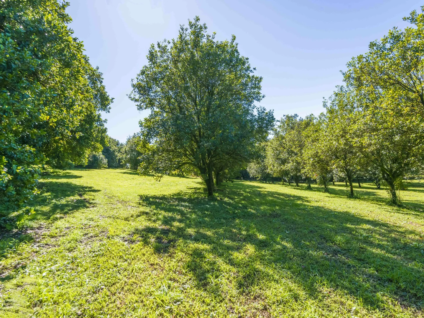 Additional image 33 of 710 Cowlong Road, Eltham NSW 2480