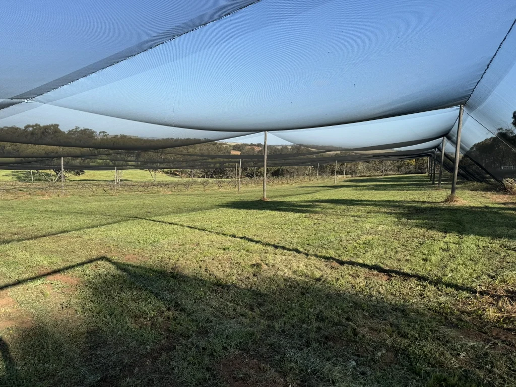 Additional image 57 of 9 Morris Edwards Drive, York WA 6302