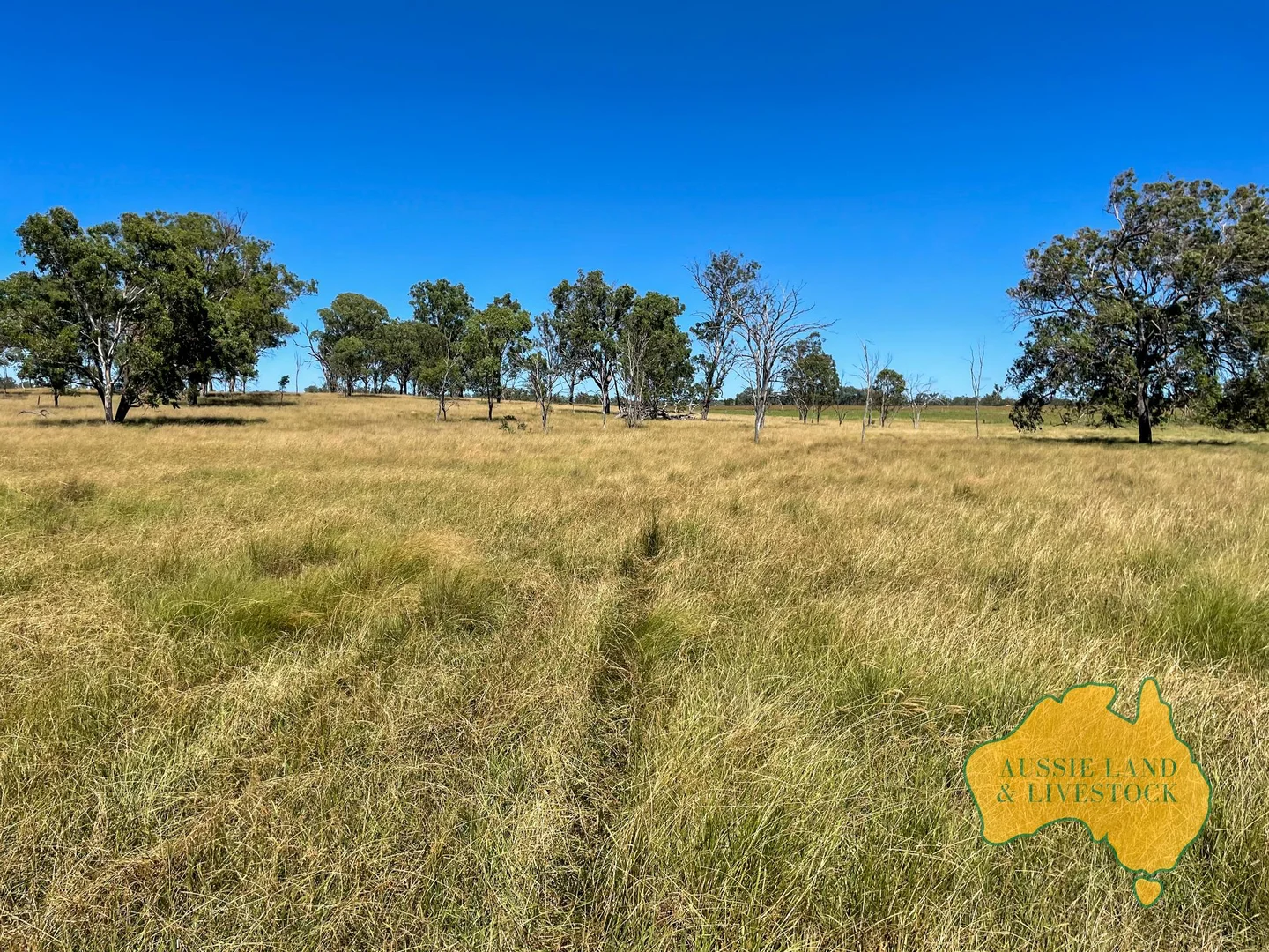Additional image 61 of 629 Stuart Valley Drive, Haly Creek QLD 4610