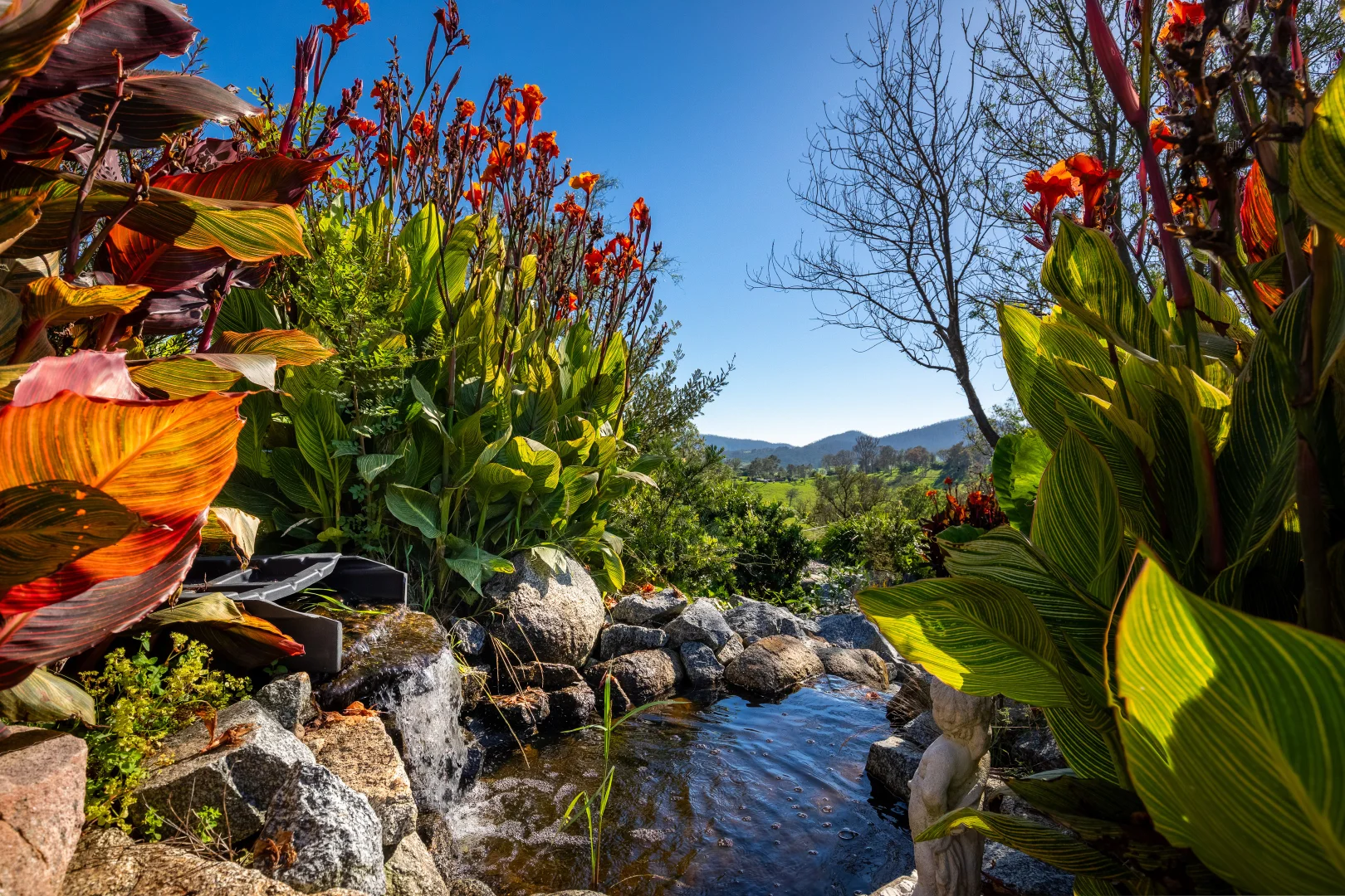 Additional image 20 of 23 County Boundary Road, Cobargo NSW 2550