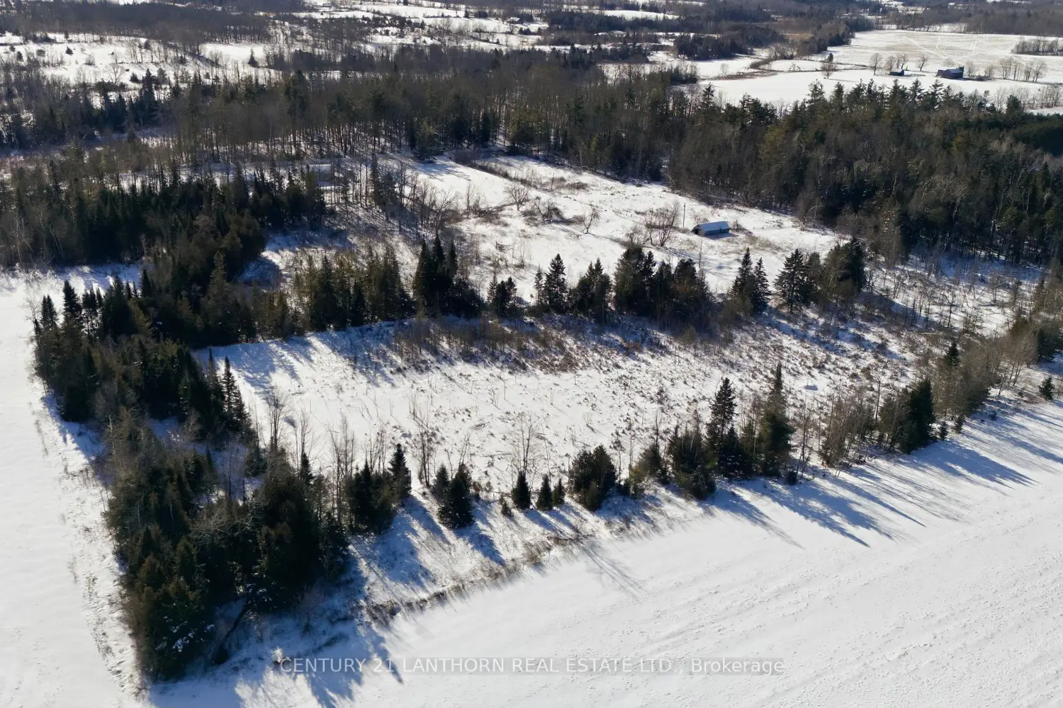 Additional image 9 of 1012 12Th Line