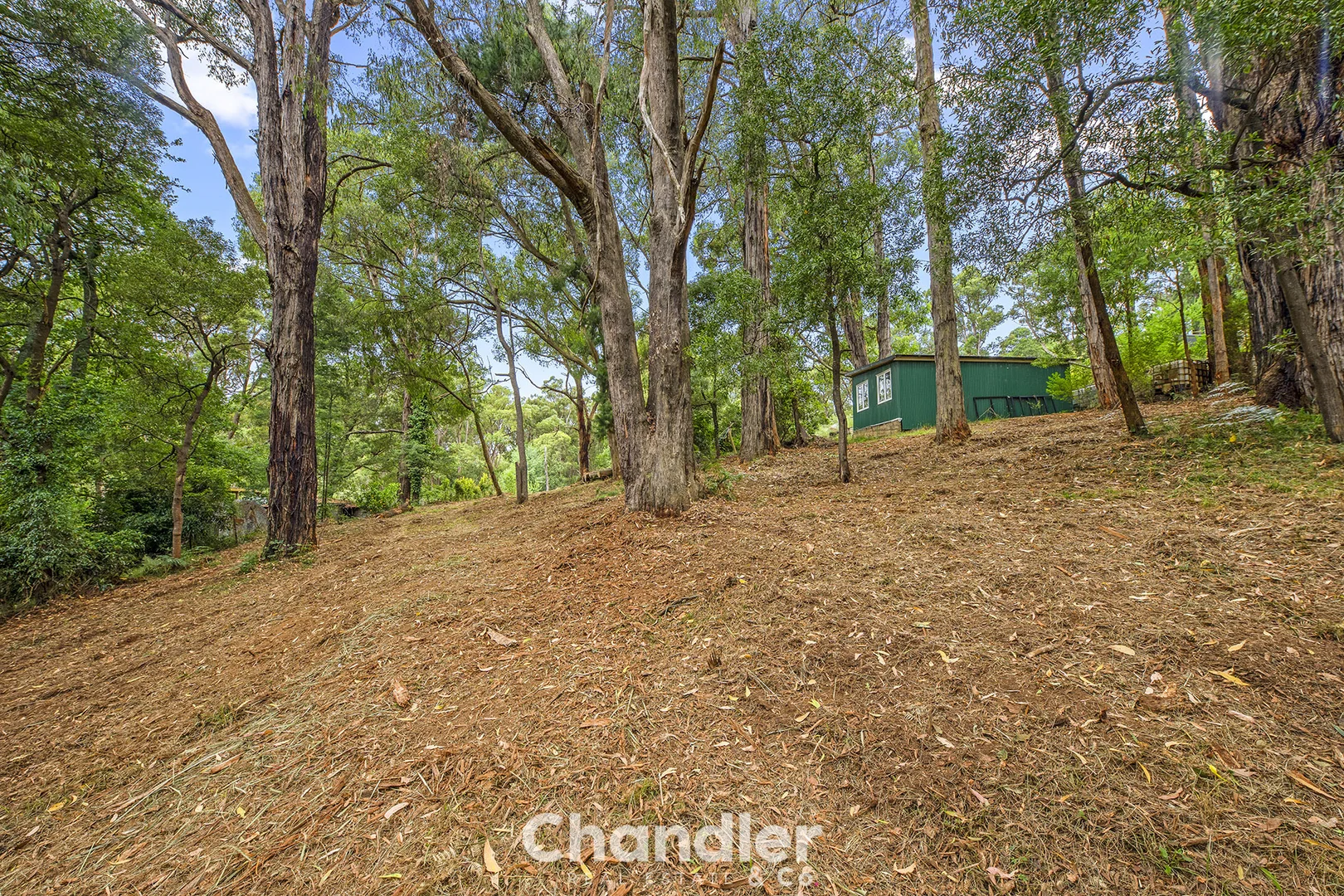 Additional image 13 of 75 Priors Road, The Patch VIC 3792