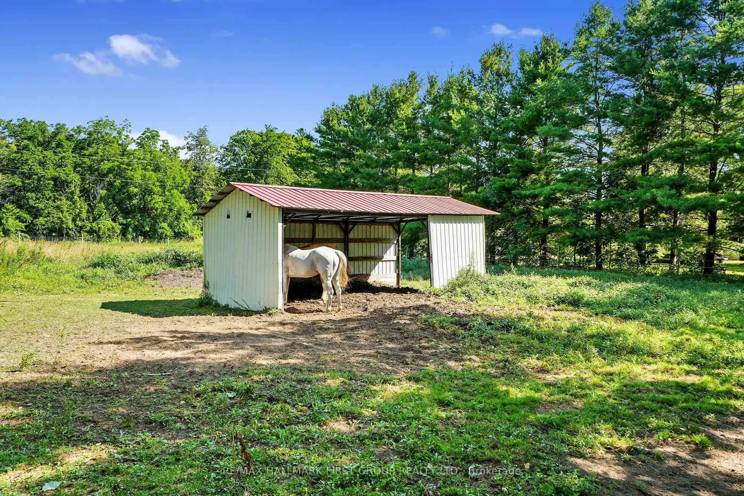 Additional image 7 of 325 Trottman Road