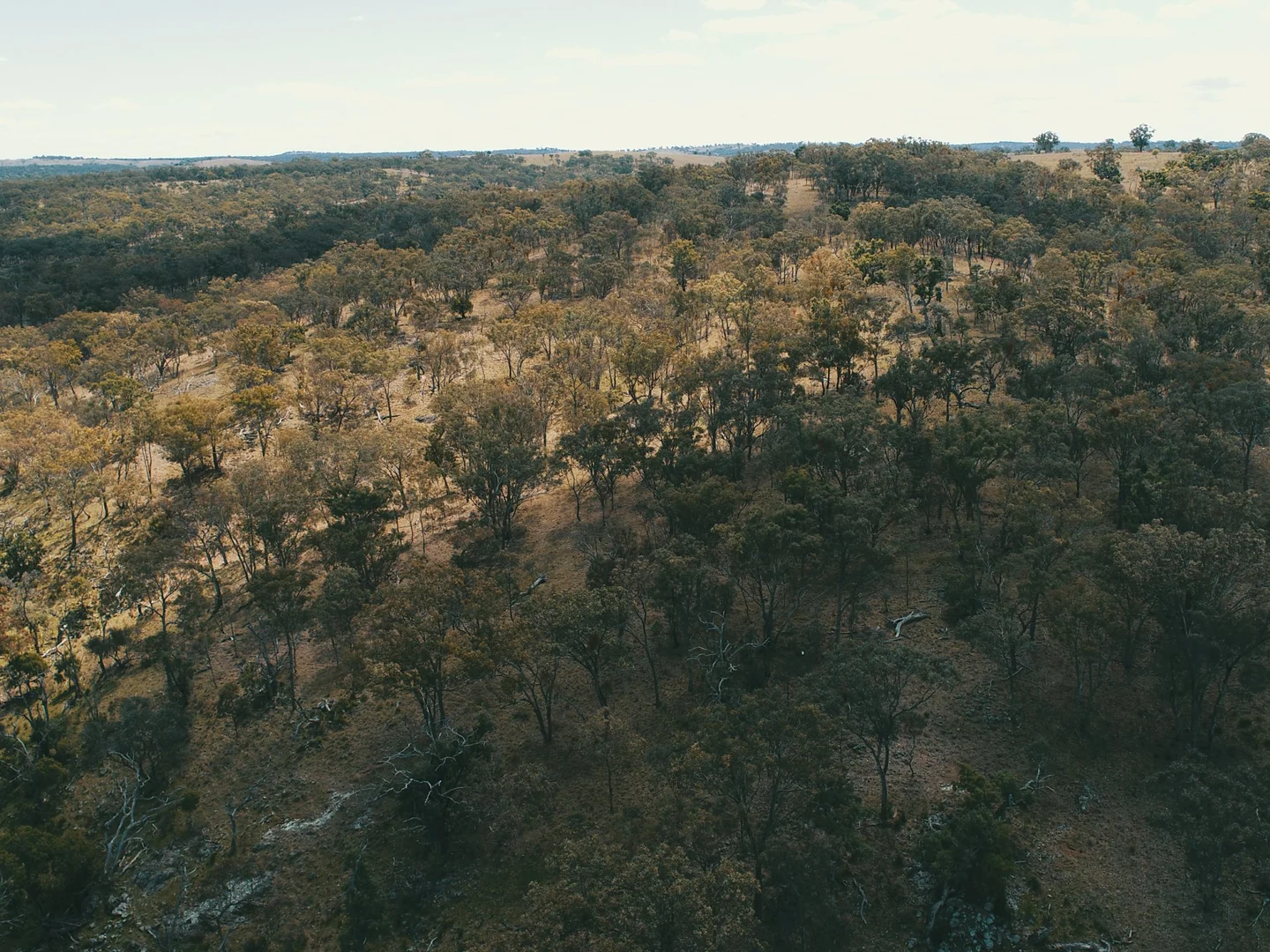 Additional image 11 of Lot 2 Stanthorpe Texas Road, Stanthorpe QLD 4380
