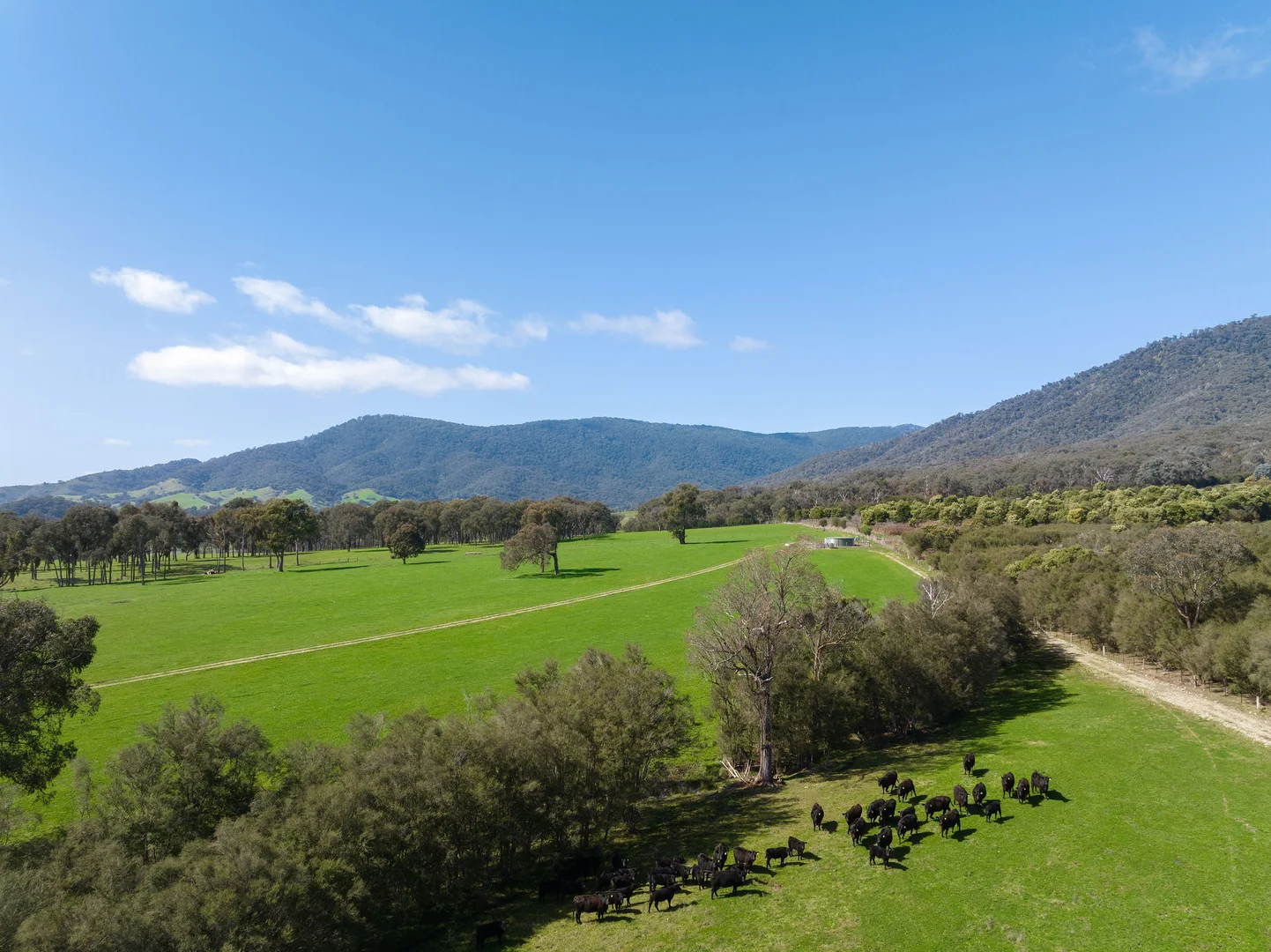 Additional image 8 of 1036 Taggerty - Thornton Road, Thornton VIC 3712