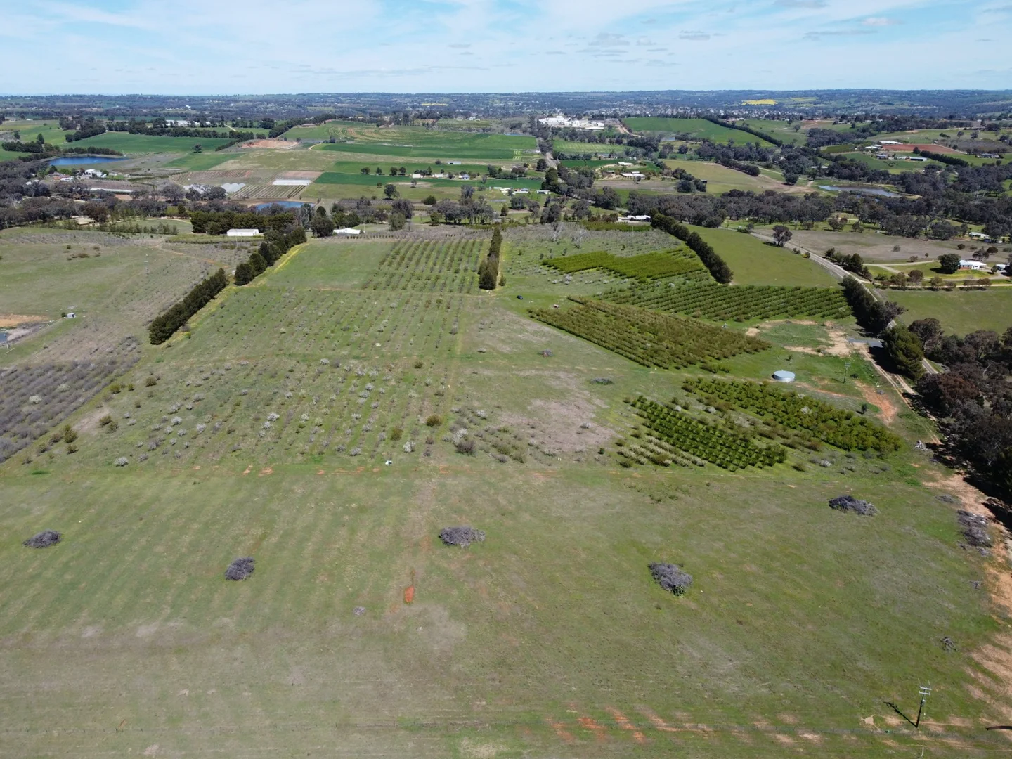 Additional image 5 of 264 Scenic Road, Young NSW 2594