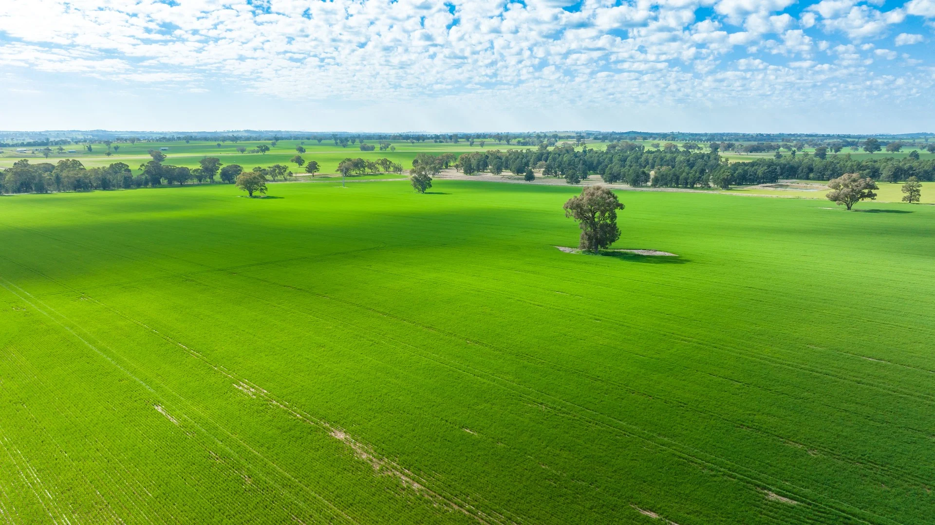 'Part Glenmoira'/524 Munyaplah Settlement Rd, Alma Park NSW 2659