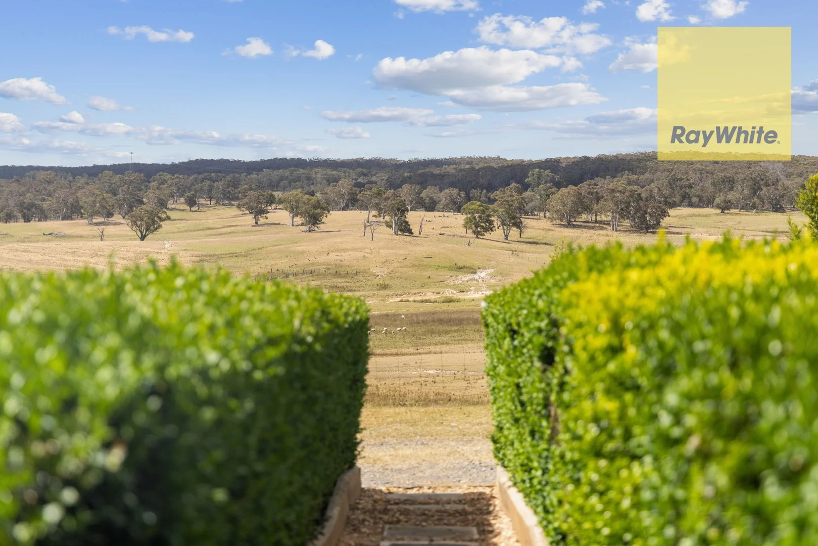 51 Parsons Lane, Chatsbury NSW 2580