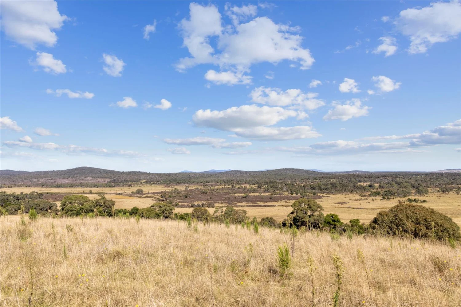 Additional image 35 of 134 Lakeview Road, Tarago NSW 2580