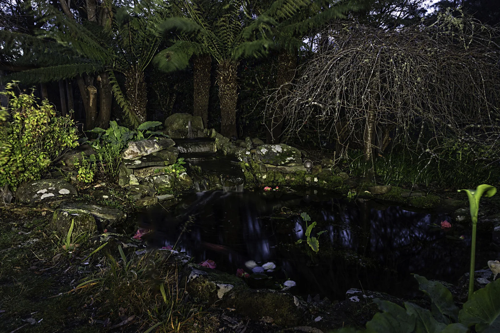 Additional image 35 of 2395 Nubeena Road, Port Arthur TAS 7182