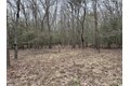 Additional image 37 of Old Bradley Rd, Mardela Springs, MD, 21837