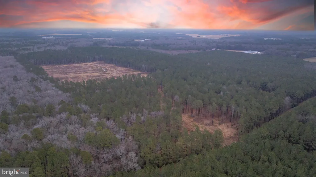 Additional image 5 of Little Hill Rd., Millsboro, DE 19945