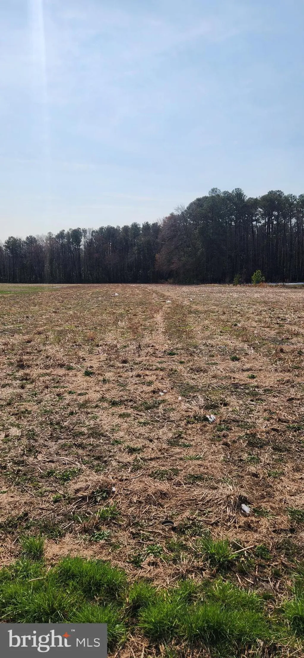 Additional image 4 of Lot 1 Pepperbox Road, Laurel, DE 19956