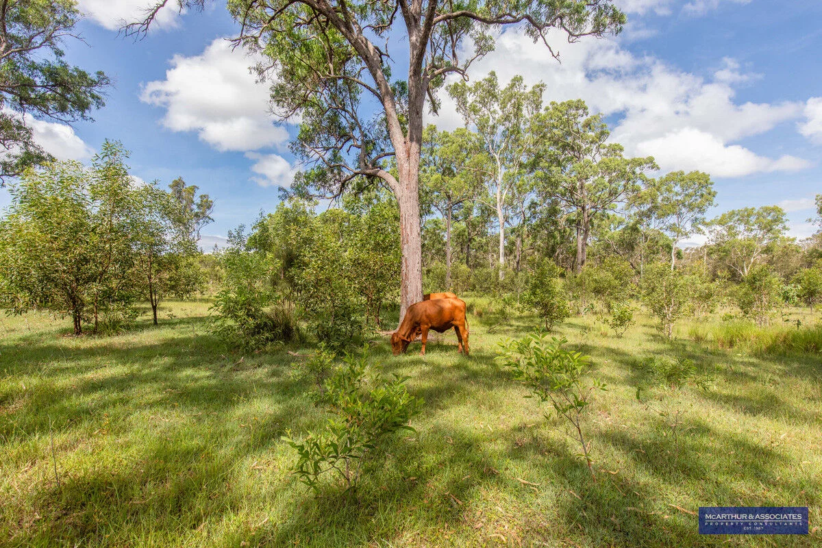 Additional image 19 of Bunya Creek QLD 4655