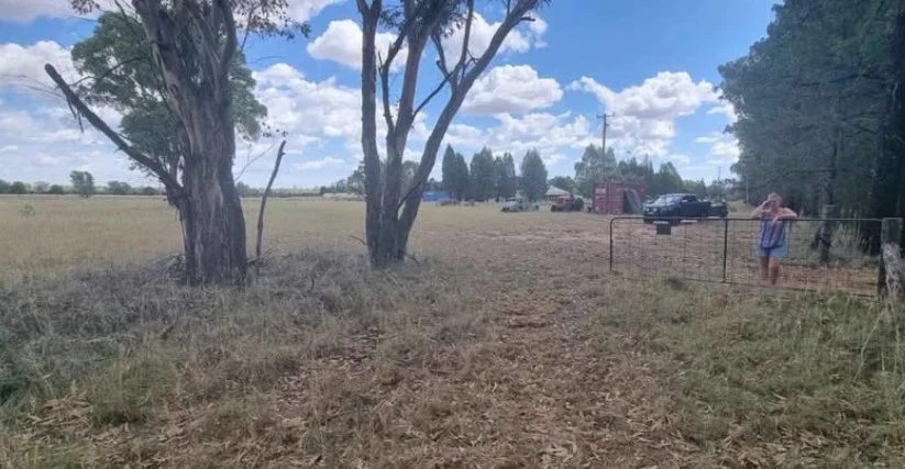 Additional image 2 of 9 Everton Road, Gilgandra NSW 2827