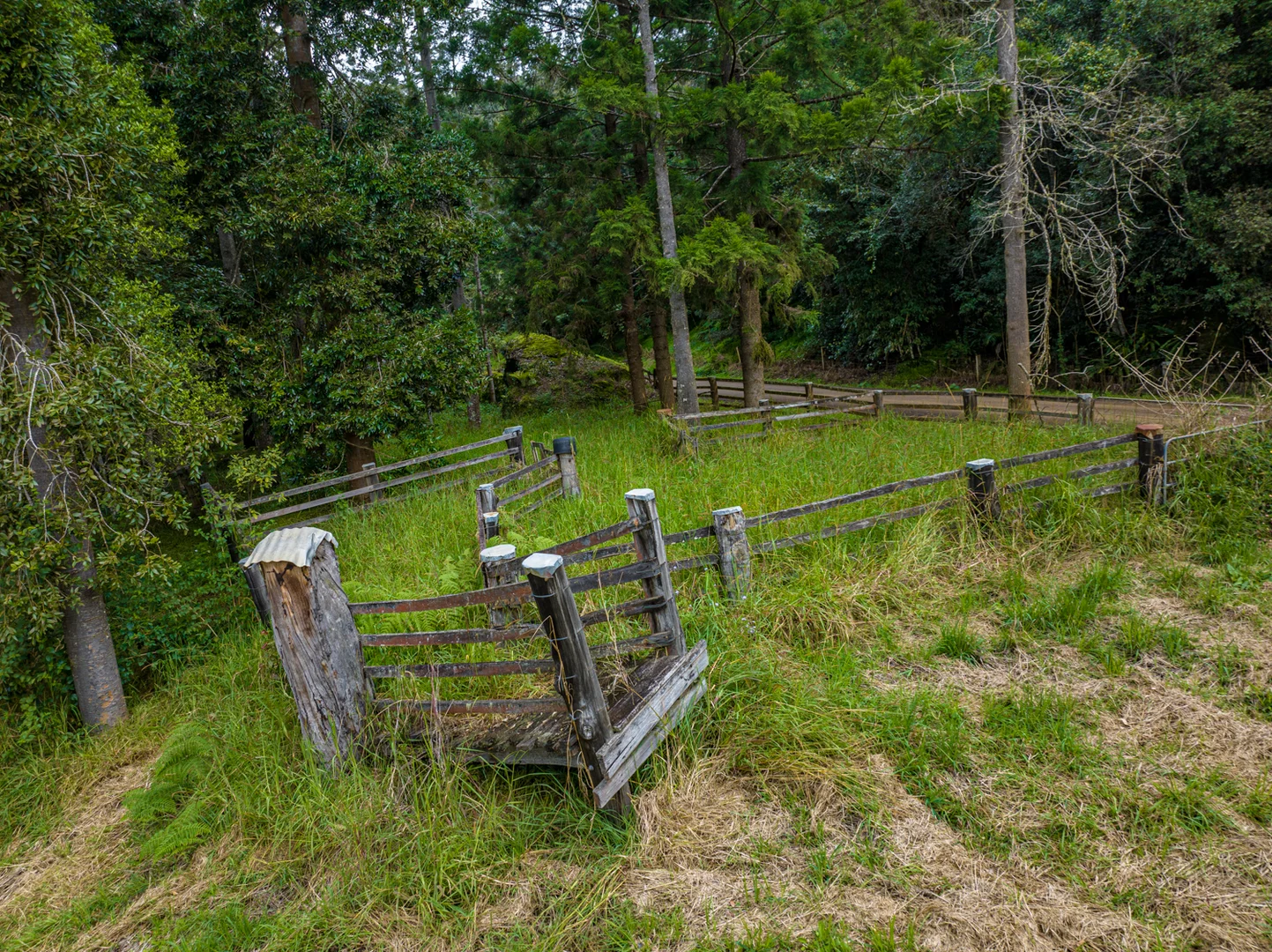 Additional image 33 of 574 Horseshoe Creek Road, Upper Horseshoe Creek NSW 2474