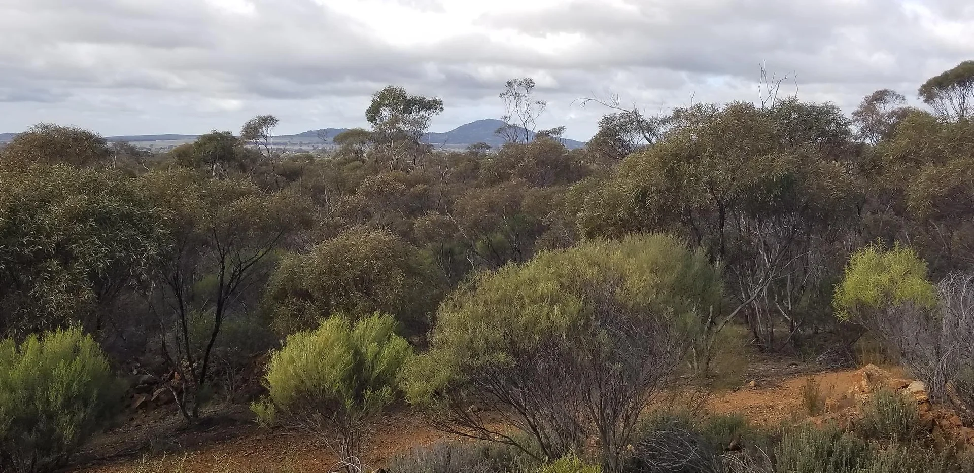 Additional image 15 of 6803 Calder Highway, Wedderburn VIC 3518