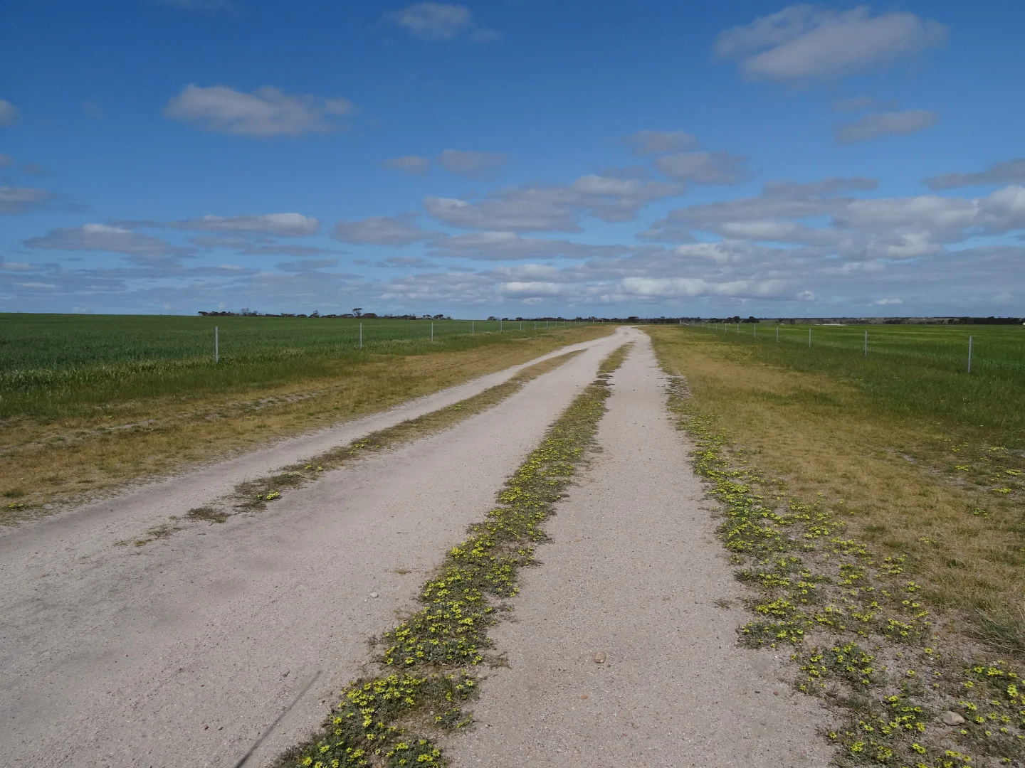 Additional image 33 of 31541 South Coast Highway, Jerramungup WA 6337