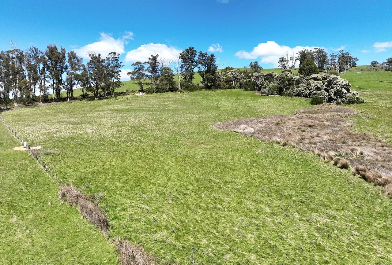 Additional image 14 of Lot 2 Storys Road, Lebrina TAS 7254