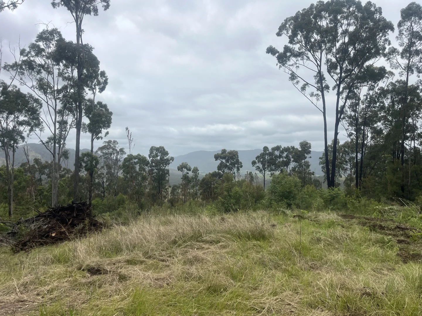 Additional image 14 of 173 Knodingbul Forest Road, Mount George NSW 2424