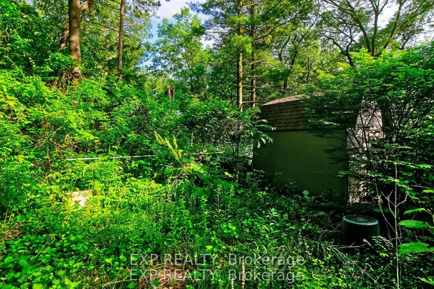 Additional image 16 of 9995 Port Franks Estates Drive