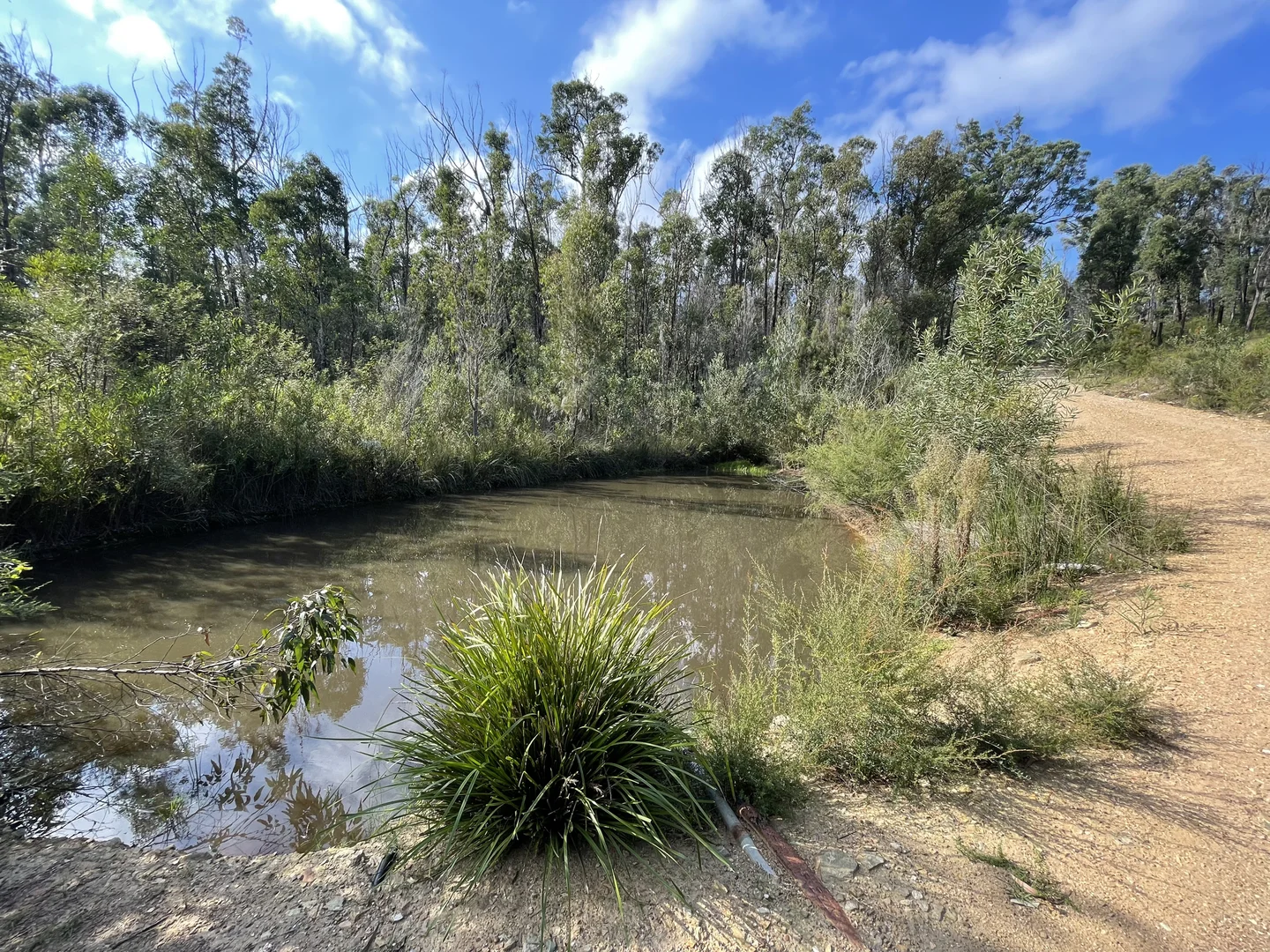 Additional image 4 of 38 Yarran Rd, Boydtown NSW 2551