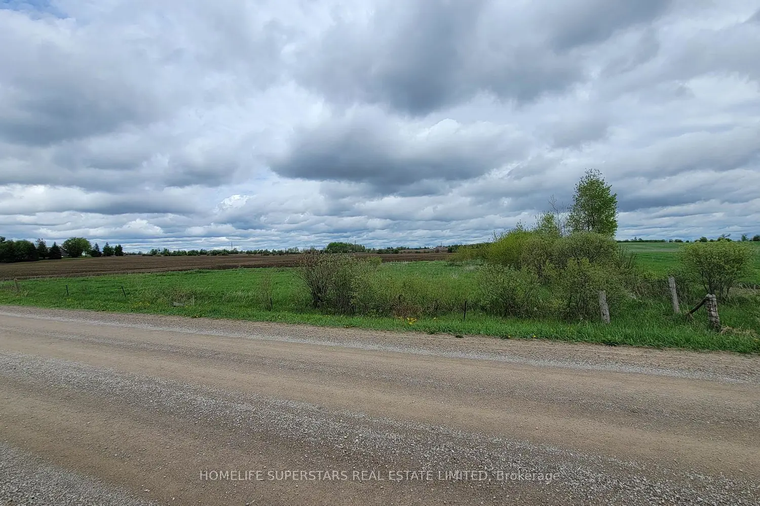 214131 10Th Line photo 4