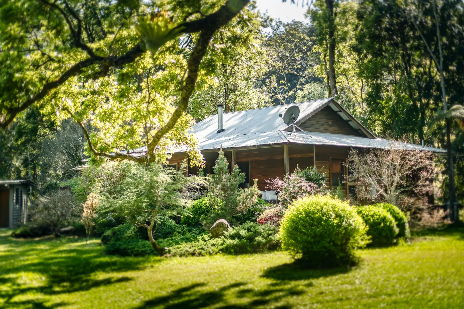 Additional image 5 of 1458 Darkwood Road, Bellingen NSW 2454