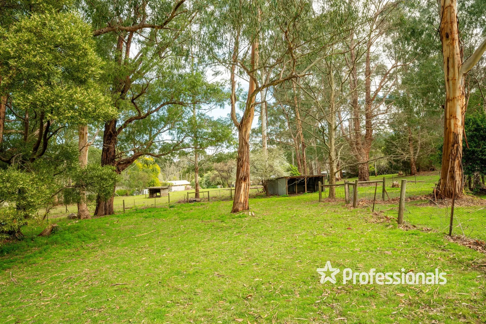 Additional image 21 of 32 Wonga Road, Millgrove VIC 3799