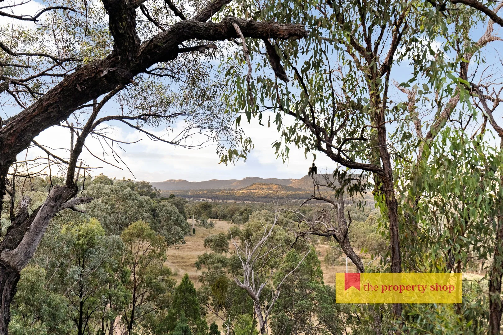 Additional image 3 of 306 Port Macquarie Road, Rylstone NSW 2849