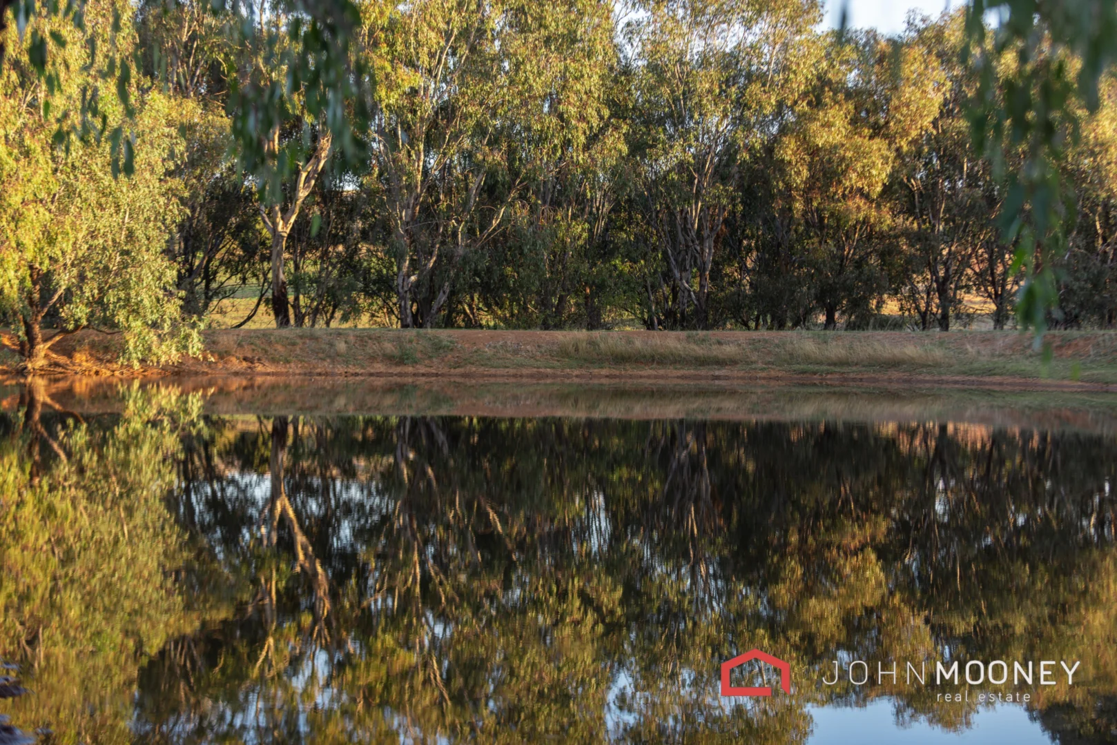 Additional image 9 of Wynyard Hill Estate, Springvale NSW 2650