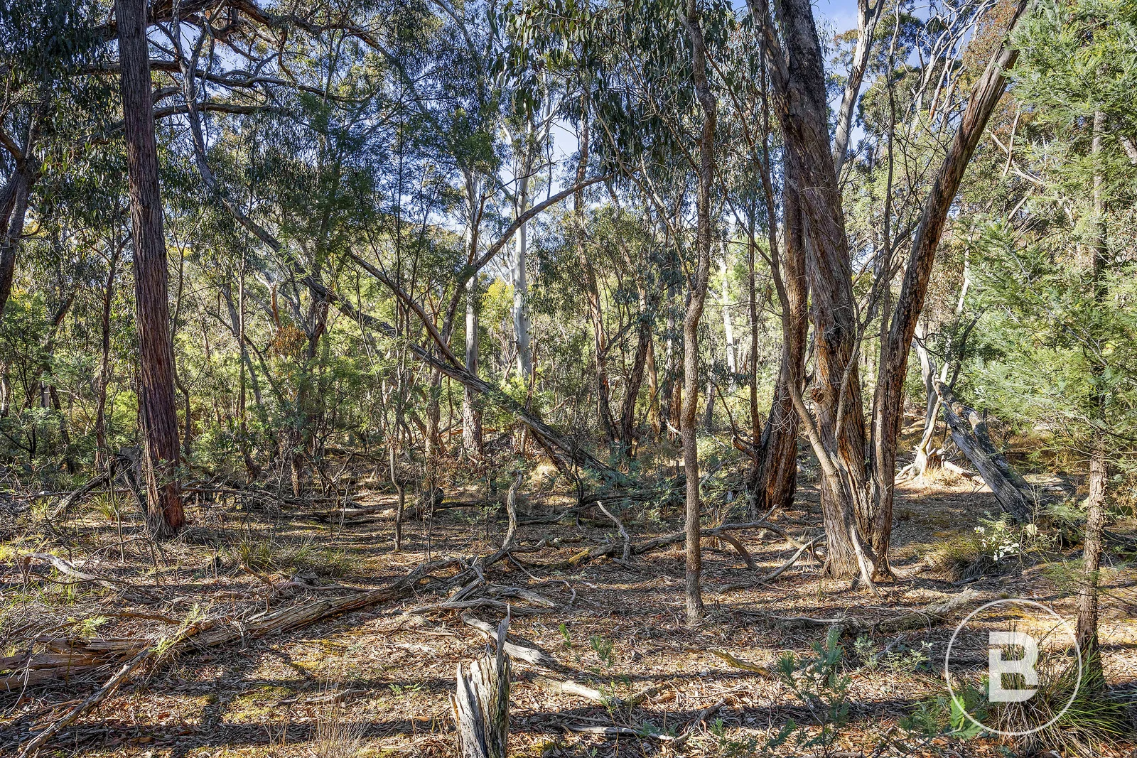 Additional image 5 of 115 Belltopper Road, Drummond North VIC 3446