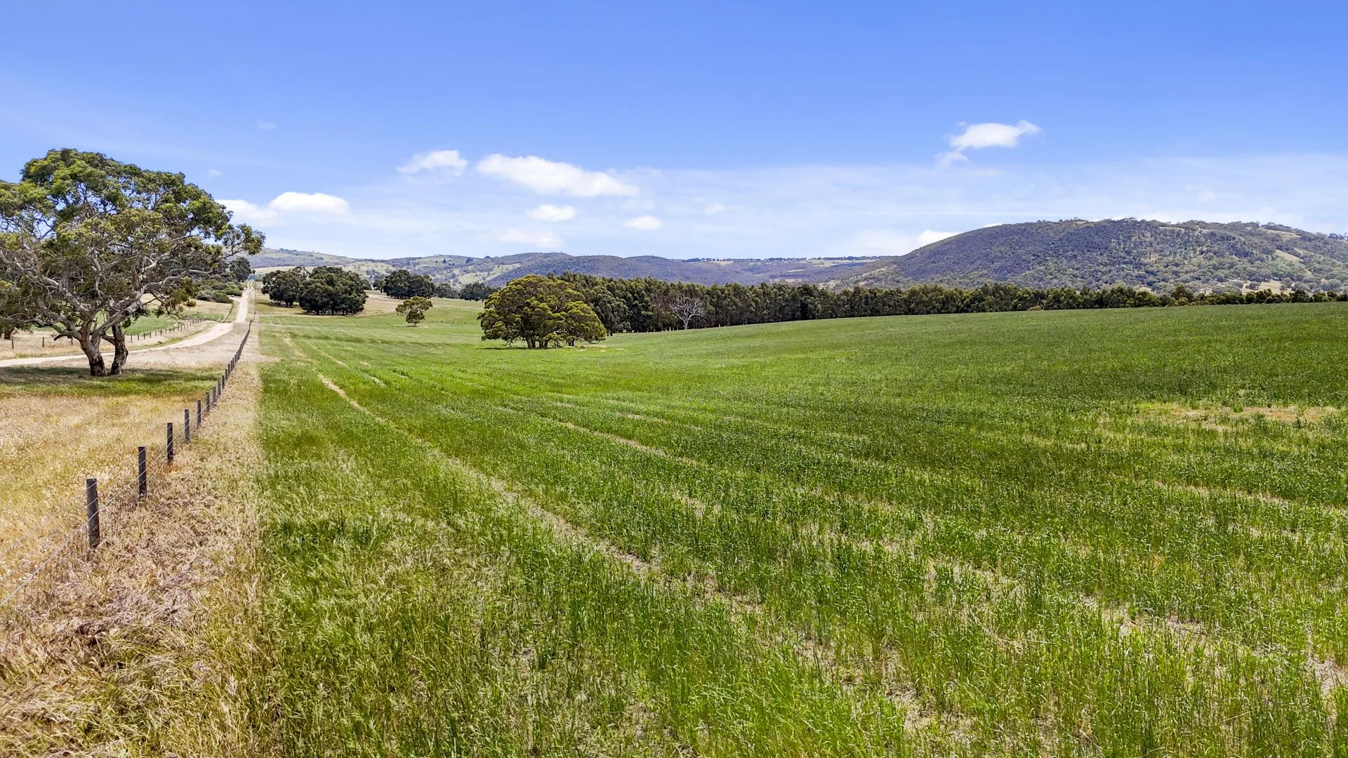 Additional image 48 of 228 Hutchinson Road, Hindmarsh Valley SA 5211
