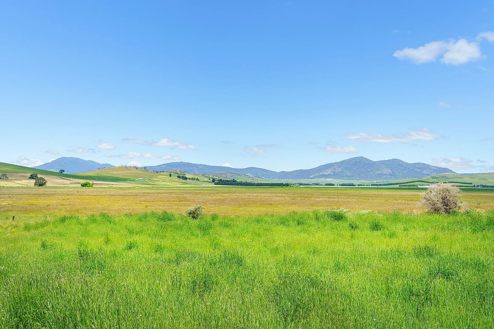 Additional image 4 of Lot 4 Pender Street, Benambra VIC 3900