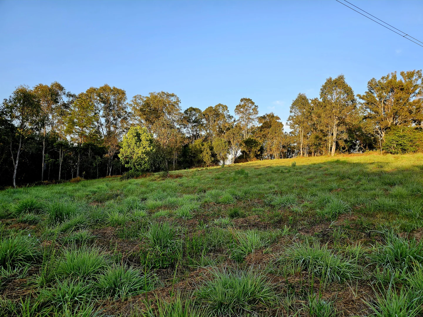 Additional image 7 of Lot 1/MPH24455 Mary Valley Road, Jones Hill QLD 4570