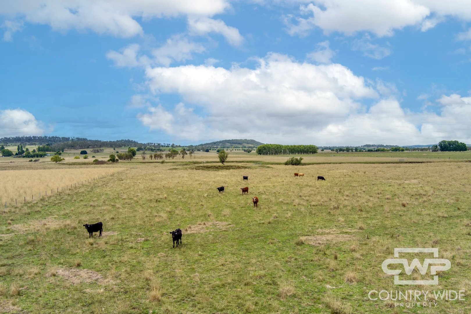 Additional image 10 of 638 Furracabad Road, Glen Innes NSW 2370