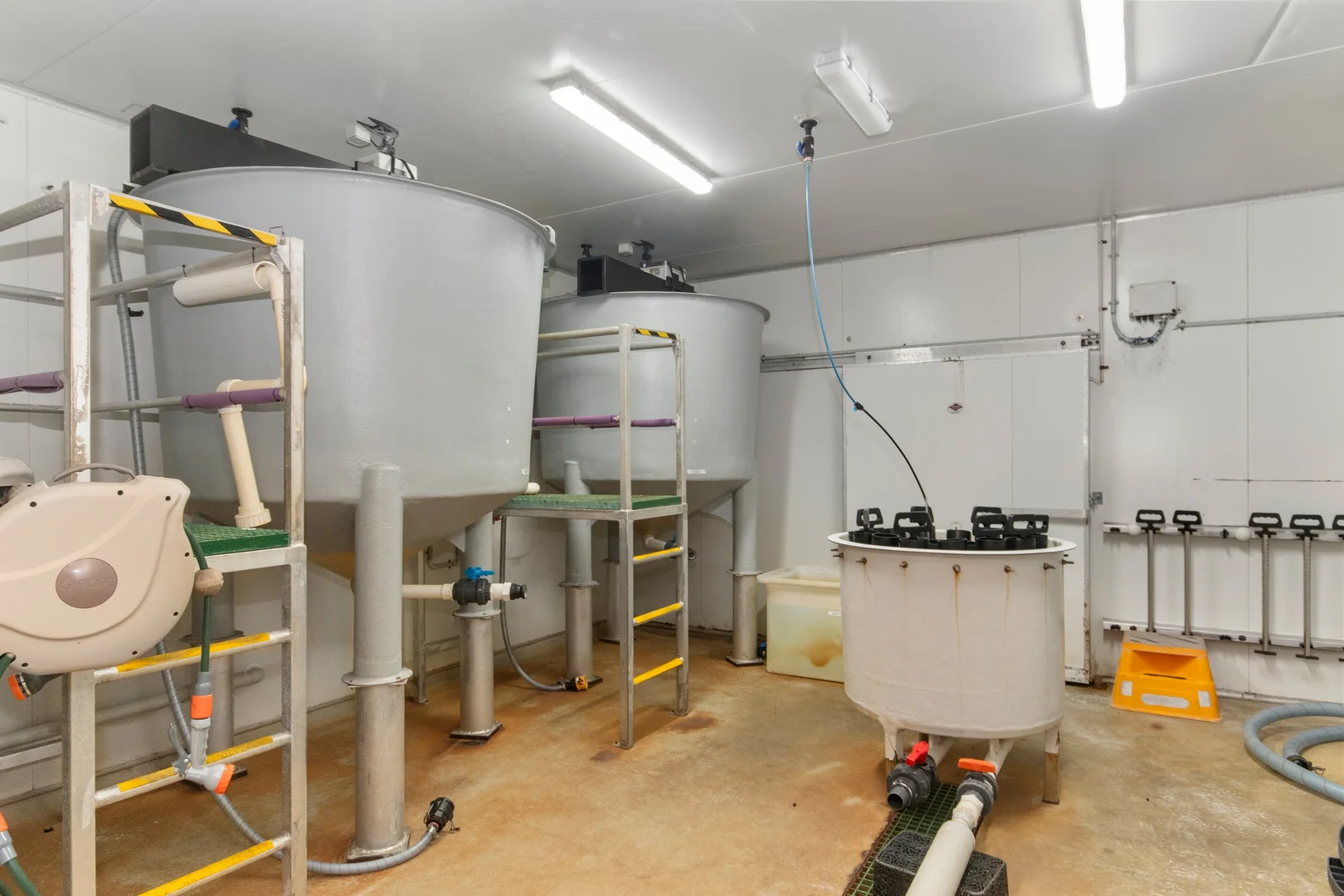 Additional image 22 of 43052 Bruce Highway, Clemant QLD 4816