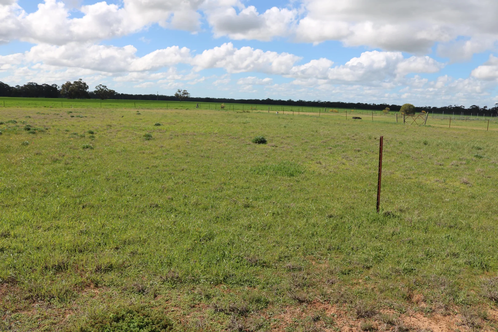 Additional image 9 of 21 Gunyah Flat Road, Charlton VIC 3525