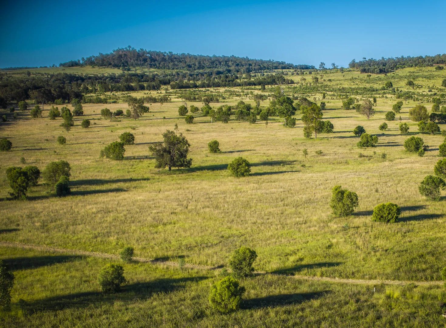 Additional image 8 of 833 Fosters Road, Guluguba QLD 4418