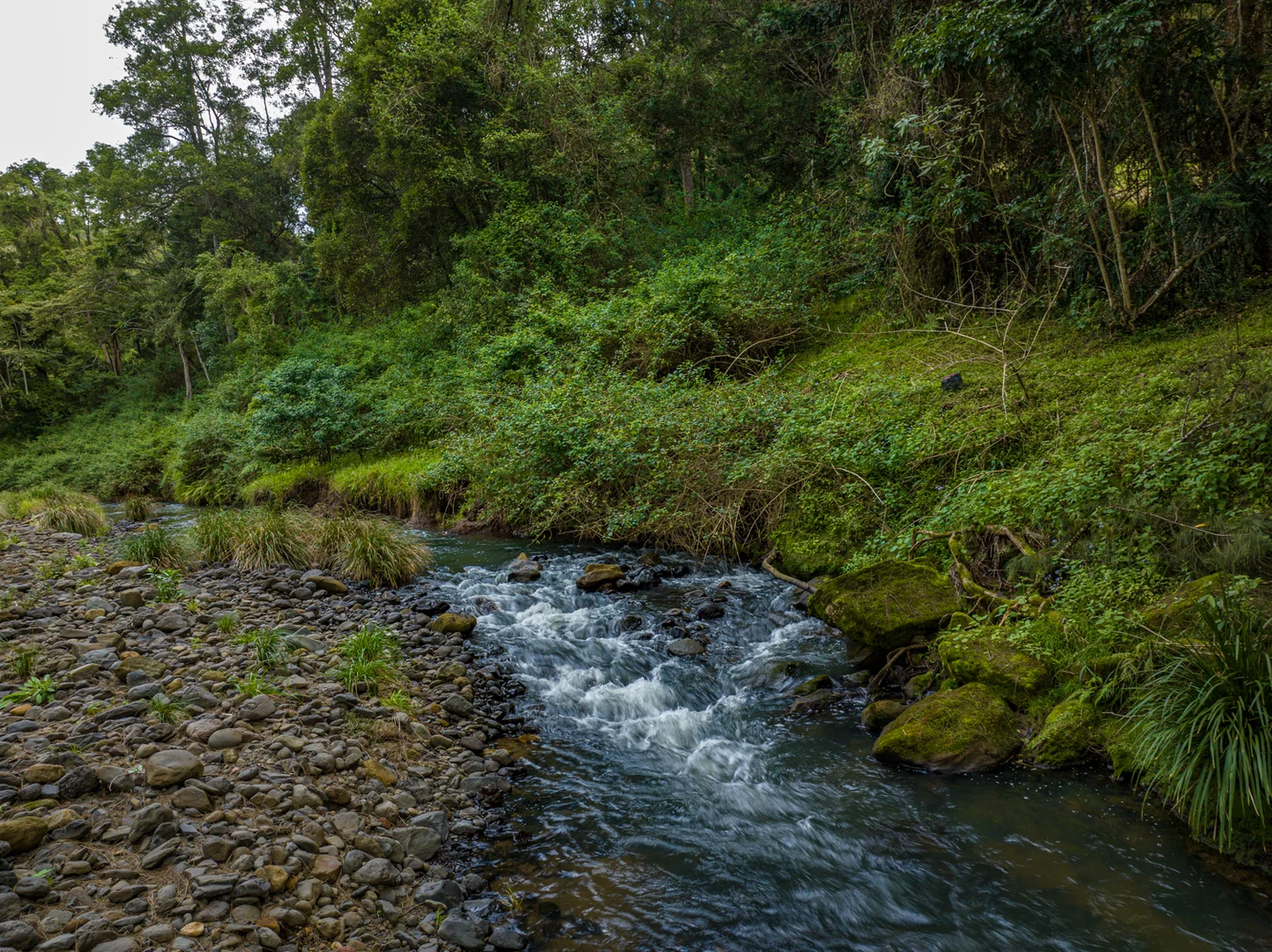 Additional image 34 of 574 Horseshoe Creek Road, Upper Horseshoe Creek NSW 2474