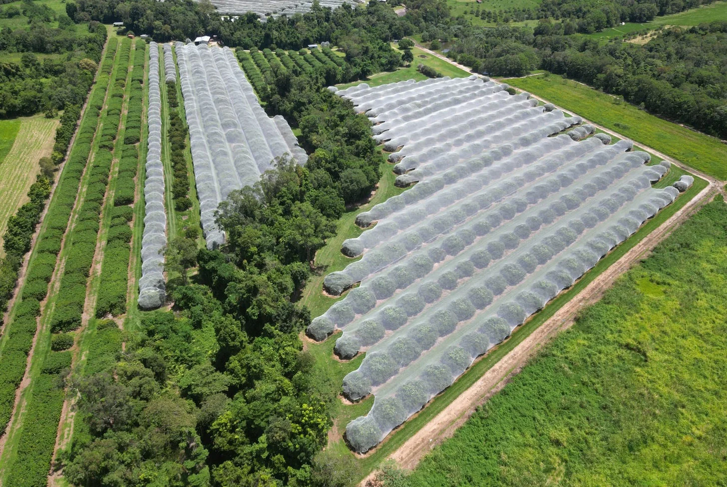 Additional image 42 of 281 Dingo Pocket Rd, Dingo Pocket QLD 4854