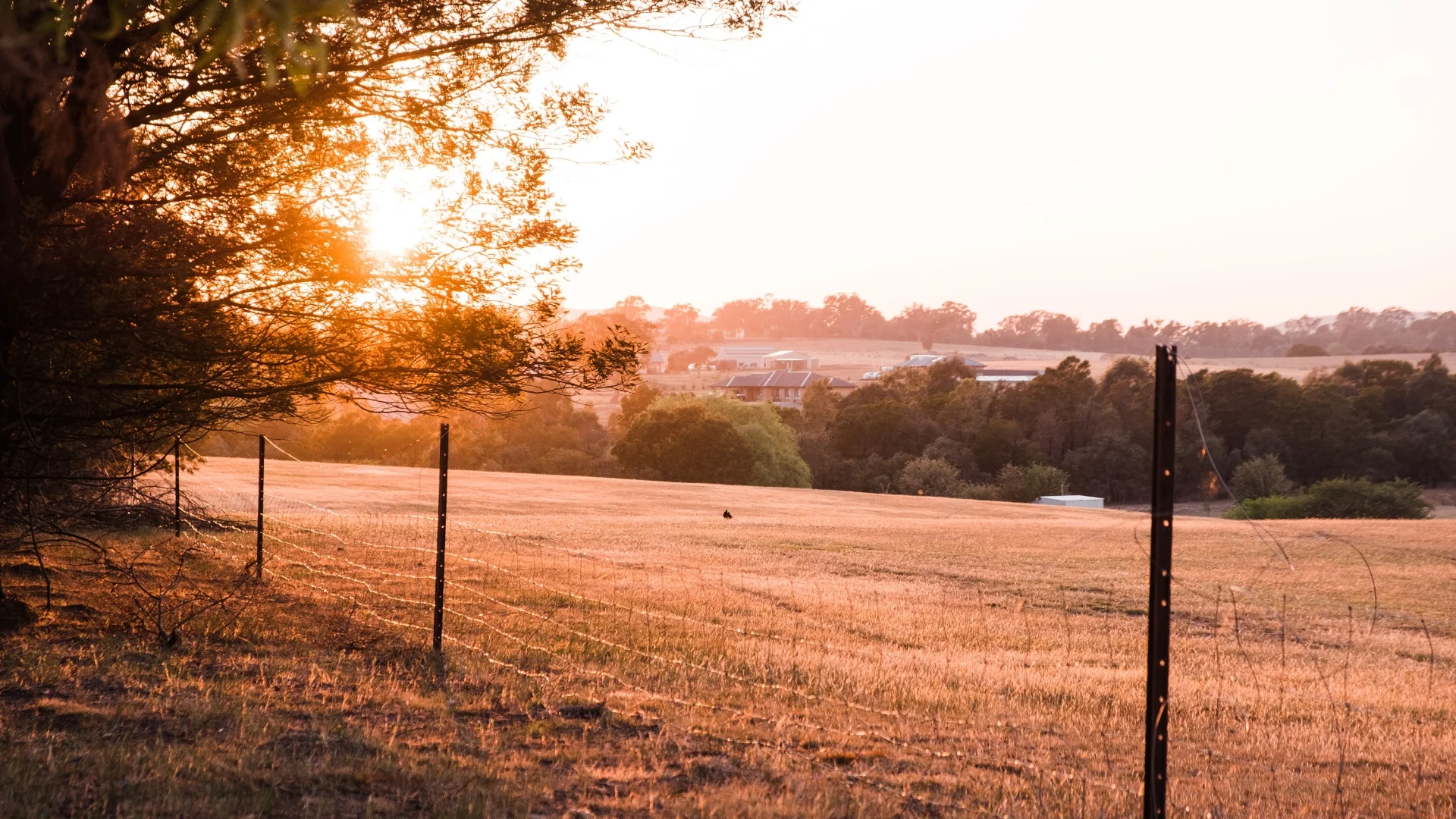 Additional image 6 of Murrumbateman NSW 2582