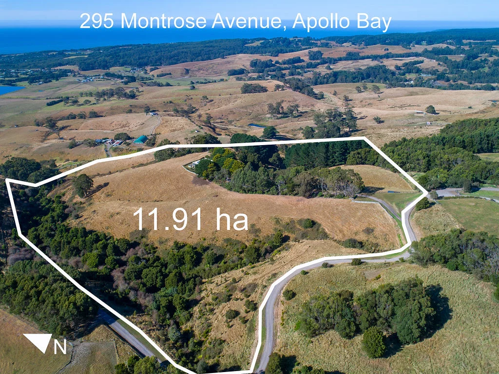 Additional image 29 of 295 Montrose Avenue, Apollo Bay VIC 3233