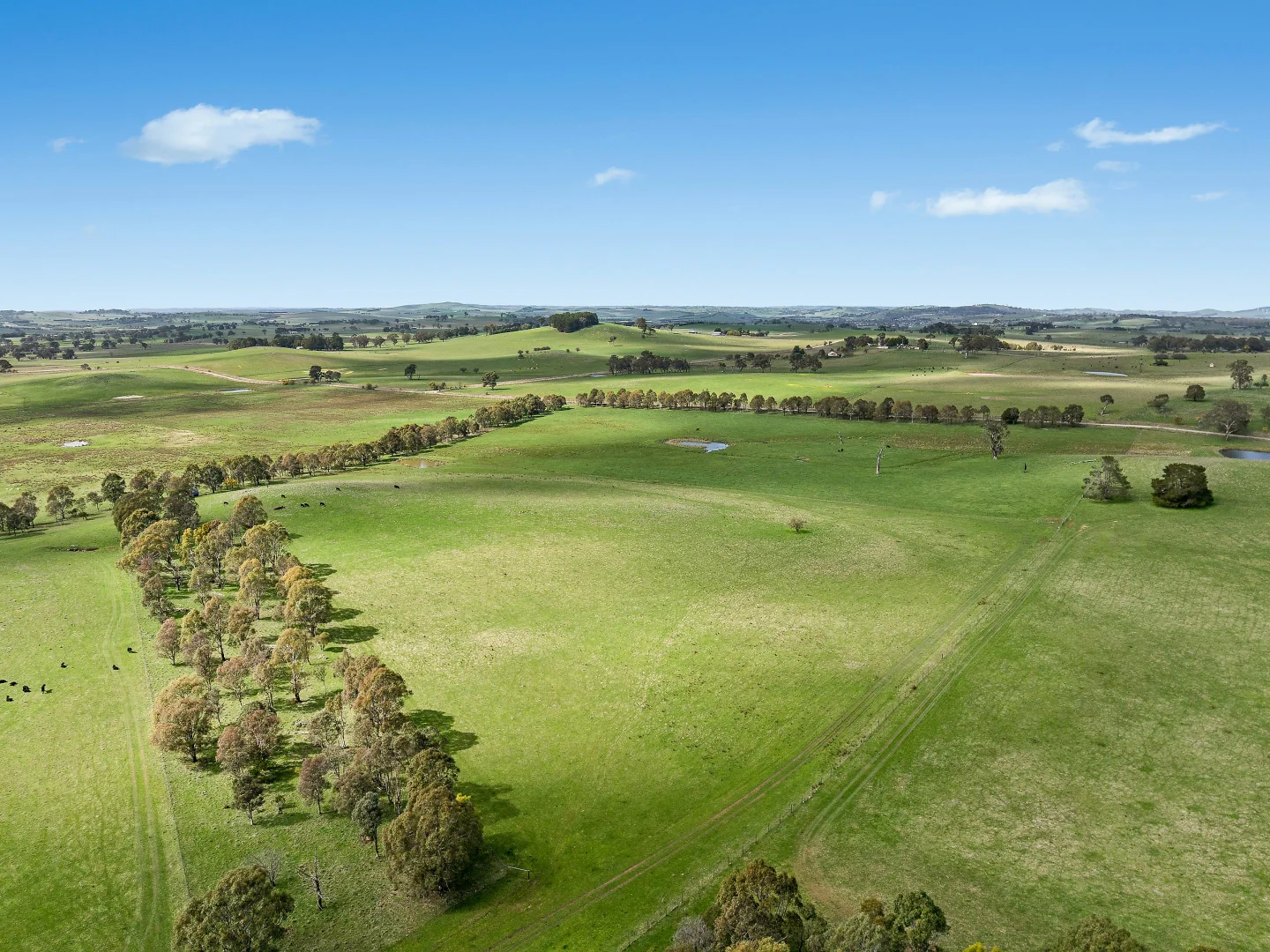 Additional image 2 of 565 Nyes Gate Road, Millthorpe NSW 2798